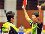 Bóng đá anh, ngoại hạng anh, lịch thi đấu euro 2012, Xác  định 41 môn thi tại SEA Games 26