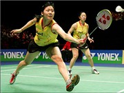 Bóng đá anh, ngoại hạng anh, lịch thi đấu euro 2012, Phiếm mà không phiếm: Ai hiểu chăng ai?
