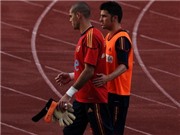 Bóng đá anh, ngoại hạng anh, lịch thi đấu euro 2012, 03h00 ngày 09/06, Tây Ban Nha - Ba Lan: Bài test cuối cùng