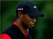 Bóng đá anh, ngoại hạng anh, lịch thi đấu euro 2012, Vợ chồng Tiger Woods đạt được thỏa thuận li hôn