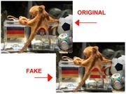 Bóng đá anh, ngoại hạng anh, lịch thi đấu euro 2012, Người Tây Ban Nha "mừng hụt" vì Bạch tuộc tiên tri