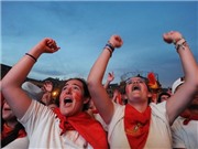Bóng đá anh, ngoại hạng anh, lịch thi đấu euro 2012, Thành công của TBN: Chất keo hàn gắn dân tộc