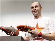Bóng đá anh, ngoại hạng anh, lịch thi đấu euro 2012, Dư âm World Cup 2010: Người hùng và tội đồ