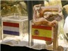 Bóng đá anh, ngoại hạng anh, lịch thi đấu euro 2012, Những nhà kinh tế học: Theo tiền, không theo Bạch tuộc.