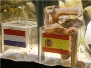 Bóng đá anh, ngoại hạng anh, lịch thi đấu euro 2012, Những nhà kinh tế học: Theo tiền, không theo Bạch tuộc.