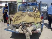 Bóng đá anh, ngoại hạng anh, lịch thi đấu euro 2012, Iraq: Đánh bom tự sát làm 48 người thiệt mạng