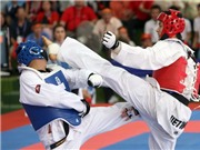 Bóng đá anh, ngoại hạng anh, lịch thi đấu euro 2012, TP. HCM: 6 ngày, 2 giải Taekwondo quốc tế