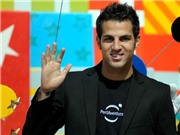 Bóng đá anh, ngoại hạng anh, lịch thi đấu euro 2012, Fabregas: Bâng khuâng đứng giữa 2 dòng nước...