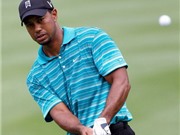 Bóng đá anh, ngoại hạng anh, lịch thi đấu euro 2012, Golf: Cuối cùng cũng có người bắt kịp Tiger Woods