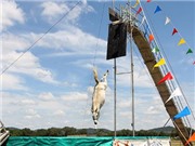 Bóng đá anh, ngoại hạng anh, lịch thi đấu euro 2012, Trình diễn la nhảy cắm