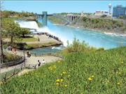 Bóng đá anh, ngoại hạng anh, lịch thi đấu euro 2012, Bơi giữa dòng thác Niagara