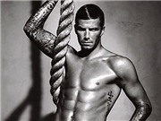 Bóng đá anh, ngoại hạng anh, lịch thi đấu euro 2012, Mẫu quảng cáo của Beckham bị copy