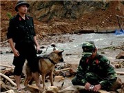 Bóng đá anh, ngoại hạng anh, lịch thi đấu euro 2012, Yên Bái vẫn chưa tìm được nạn nhân vụ sạt lở đất