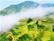 Bóng đá anh, ngoại hạng anh, lịch thi đấu euro 2012, Ruộng bậc thang 
