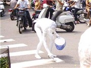 Bóng đá anh, ngoại hạng anh, lịch thi đấu euro 2012, Khi “cái tôi” quá lớn