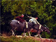 Bóng đá anh, ngoại hạng anh, lịch thi đấu euro 2012, Không nệ thực, 'Khát vọng Thăng Long' sẽ bay bổng?