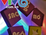 Bóng đá anh, ngoại hạng anh, lịch thi đấu euro 2012, Đài THVN kỷ niệm 40 năm ngày phát sóng đầu tiên 