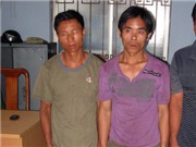 Bóng đá anh, ngoại hạng anh, lịch thi đấu euro 2012, Hà Nội: Xuất hiện "sưa tặc" biến tướng lạ lùng