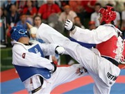 Bóng đá anh, ngoại hạng anh, lịch thi đấu euro 2012, Kết thúc giải vô địch Taekwondo toàn quốc 2010: Hà Nội, Thành Phố Hồ Chí Minh bội thu