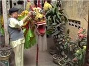 Bóng đá anh, ngoại hạng anh, lịch thi đấu euro 2012, Giấc mơ Rồng Việt