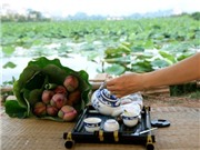 Bóng đá anh, ngoại hạng anh, lịch thi đấu euro 2012, Khám phá ẩm thực ngàn năm Thăng Long (Bài 3): Chén trà người Hà Nội