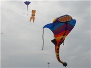 Bóng đá anh, ngoại hạng anh, lịch thi đấu euro 2012, Ấn tượng với lễ hội diều mừng Đại lễ