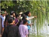 Cụ Rùa hồ Gươm liên tục xuất hiện