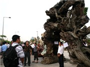 Bóng đá anh, ngoại hạng anh, lịch thi đấu euro 2012, Choáng, sốc... với những thứ triệu đô bày ở Mỹ Đình