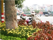 Bóng đá anh, ngoại hạng anh, lịch thi đấu euro 2012, Những người âm thầm giúp Thủ đô sạch đẹp dịp Đại Lễ