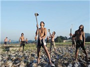 Bóng đá anh, ngoại hạng anh, lịch thi đấu euro 2012, Một nhật ký lạ lùng về nông dân