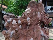 Bóng đá anh, ngoại hạng anh, lịch thi đấu euro 2012, Trao giải Cuộc thi thơ "Thổi hồn vào đá"
