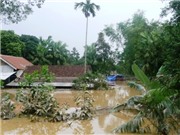 Bóng đá anh, ngoại hạng anh, lịch thi đấu euro 2012, Các tỉnh miền Trung: Lũ chồng lên lũ, tang thương nối tiếp tang thương 
