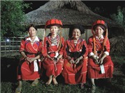 Bóng đá anh, ngoại hạng anh, lịch thi đấu euro 2012, Hoa hậu Thu Thủy làm phim tranh giải tại VNIFF