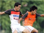 Bóng đá anh, ngoại hạng anh, lịch thi đấu euro 2012, ĐTVN: Phân công lao động