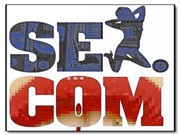 Bóng đá anh, ngoại hạng anh, lịch thi đấu euro 2012, Tên miền sex.com đã tìm được chủ mới