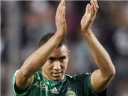 Bóng đá anh, ngoại hạng anh, lịch thi đấu euro 2012, Dimitri Payet: Tôi không phải một sát thủ