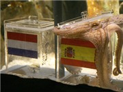 Bóng đá anh, ngoại hạng anh, lịch thi đấu euro 2012, Bạch tuộc Paul đã qua đời