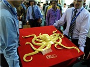 Bóng đá anh, ngoại hạng anh, lịch thi đấu euro 2012, Bạch tuộc Paul chết sớm vì phải dự đoán quá nhiều!