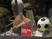 Bóng đá anh, ngoại hạng anh, lịch thi đấu euro 2012, Phim "Kill Octopus Paul" sẽ lật tẩy thầy Paul 
