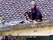 Bóng đá anh, ngoại hạng anh, lịch thi đấu euro 2012, Đêm nhạc "Là người con đất Việt" vì miền Trung ruột thịt