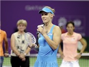 Bóng đá anh, ngoại hạng anh, lịch thi đấu euro 2012, Dementieva giã từ sự nghiệp:Tạm biệt Kẻ thất bại vĩ đại!
