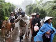Bóng đá anh, ngoại hạng anh, lịch thi đấu euro 2012, Sơ tán dân ở ven sông, vùng thấp đến nơi an toàn