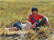 Bóng đá anh, ngoại hạng anh, lịch thi đấu euro 2012, "Cánh đồng bất tận" thu 9,2 tỷ đồng sau 12 ngày ra rạp