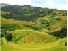 Bóng đá anh, ngoại hạng anh, lịch thi đấu euro 2012, Tour du lịch qua ba di sản ruộng bậc thang nổi tiếng