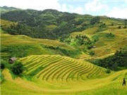Bóng đá anh, ngoại hạng anh, lịch thi đấu euro 2012, Tour du lịch qua ba di sản ruộng bậc thang nổi tiếng