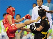Bóng đá anh, ngoại hạng anh, lịch thi đấu euro 2012, Thể thao Việt Nam vẫn “khát”…vàng  