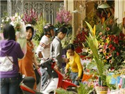 Bóng đá anh, ngoại hạng anh, lịch thi đấu euro 2012, Hà Nội: Giá hoa tươi dịp 20/11 “leo thang” từng ngày 