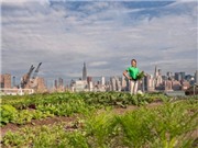 Bóng đá anh, ngoại hạng anh, lịch thi đấu euro 2012,  New York - giữa trời và đất