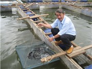 Bóng đá anh, ngoại hạng anh, lịch thi đấu euro 2012, Hải Robert - Con sói cô đơn trên bước đường không tưởng