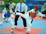 Bóng đá anh, ngoại hạng anh, lịch thi đấu euro 2012, Thể thao Việt Nam: Bước lùi 20 năm